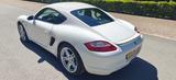 Porsche Cayman 2.7 PASM Short-shift 6-gang Sports Seats  - Porsche Cayman: Sport