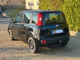 Fiat New Panda 1.2 8V LOUNGE LOUNGE - Fiat New Panda von privat