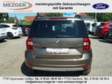 Skoda Yeti Joy - Skoda Yeti: Braun