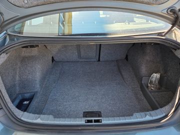 BMW 318 - 12