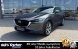 Mazda CX-30 2.5 (140PS) FWD Schalter Exclusive Allwett - Mazda CX-30 Gebrauchtwagen in Frankfurt