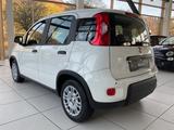 Fiat Panda 1,0 Hybrid City Paket Klimaanlage - Fiat Panda Tageszulassungen