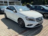 Mercedes-Benz A 180 Bi-Xenon Panorama Teilleder Shz. PDC - Mercedes-Benz A 180 in Duisburg