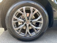 Cupra Terramar - Vorschau Bild 8