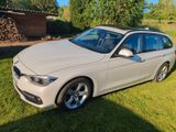 BMW 320d xDrive Touring Sport Line Automatic Spo... - BMW 320 in Freiburg