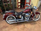 Harley-Davidson Wunderschöne Softail Deluxe FLSTN - HARLEY-DAVIDSON SOFTAIL DELUXE