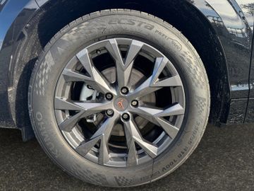 Cupra Terramar - 7