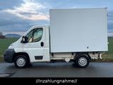 Fiat Ducato/Koffer/8 Fach/ - Fiat Ducato: 8d