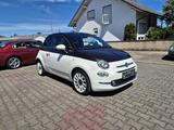 Fiat 500 Star - Fiat 500 Gebrauchtwagen in Frankfurt