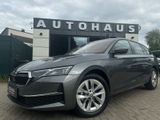 Skoda Combi 2.0 TDI 110 kW Selection RS-Sportsitze - Skoda Octavia: Sports