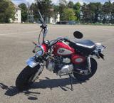 Skyteam Skymini ST125-8 - Offers matching your search criteria
