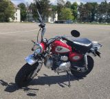 Skyteam Skymini ST125-8 - SKYTEAM MOTORRAD