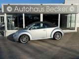 Volkswagen New Beetle Cabriolet 1.4+KLIMA+SITZHEIZUNG+ - Volkswagen New Beetle mit Benzin-Antrieb: Silber, Cabrio