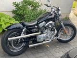 Harley-Davidson Sportster - Angebote