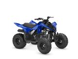 Yamaha YFM 110R / sofort verfügbar! / Kinder Quad