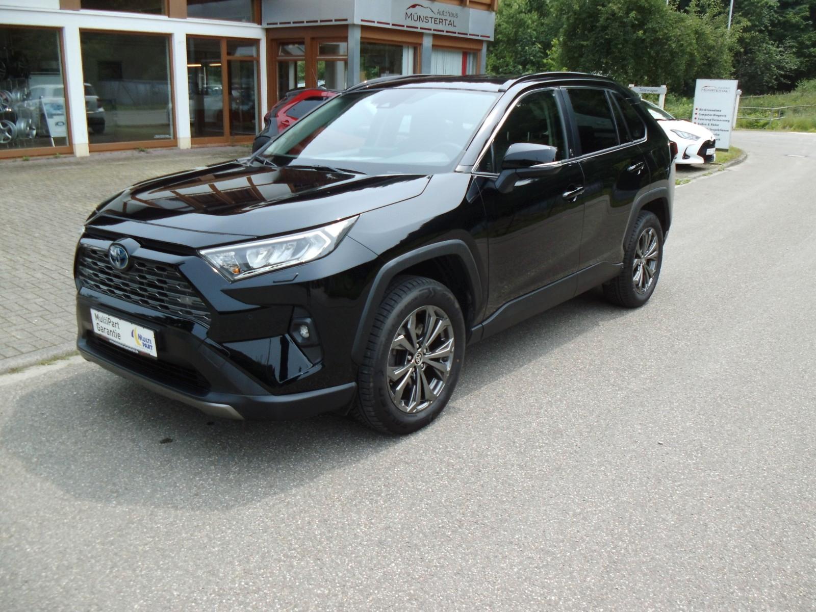 Toyota RAV 4 RAV4 Hybrid 4x4 Team Deutschland
