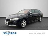 Skoda Octavia Combi 2,0 TDI Scout DSG 4x4 AHK/NAVI/LED - Skoda Octavia Gebrauchtwagen in Mannheim