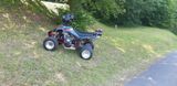 Yamaha YFM Raptor Special Edition inkl.LOF - Angebote entsprechen deinen Suchkriterien