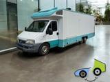 Fiat Ducato 2.3JTD Verkaufswagen/Kühltheke/Abzug - Offers matching your search criteria