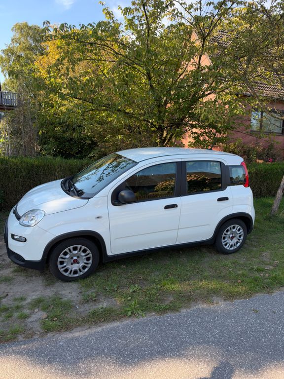 Image of Fiat Panda