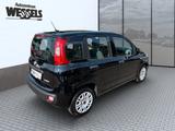 Fiat Panda Urban - gebrauchte Fiat Panda aus dem Jahr 2021