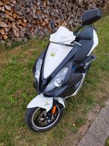 Peugeot Jetforce  50ccm / 2-Takt Getrenntschmierung  - ROLLER 50 CCM