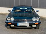 Jaguar XJS Convertible V12 - Jaguar XJS: V12