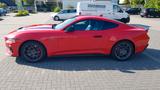 Ford Mustang 5.0 Ti-VCT V8 GT Auto GT - Ford Mustang in Kiel