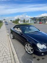 Mercedes-Benz CLK W209 - Mercedes-Benz: 209
