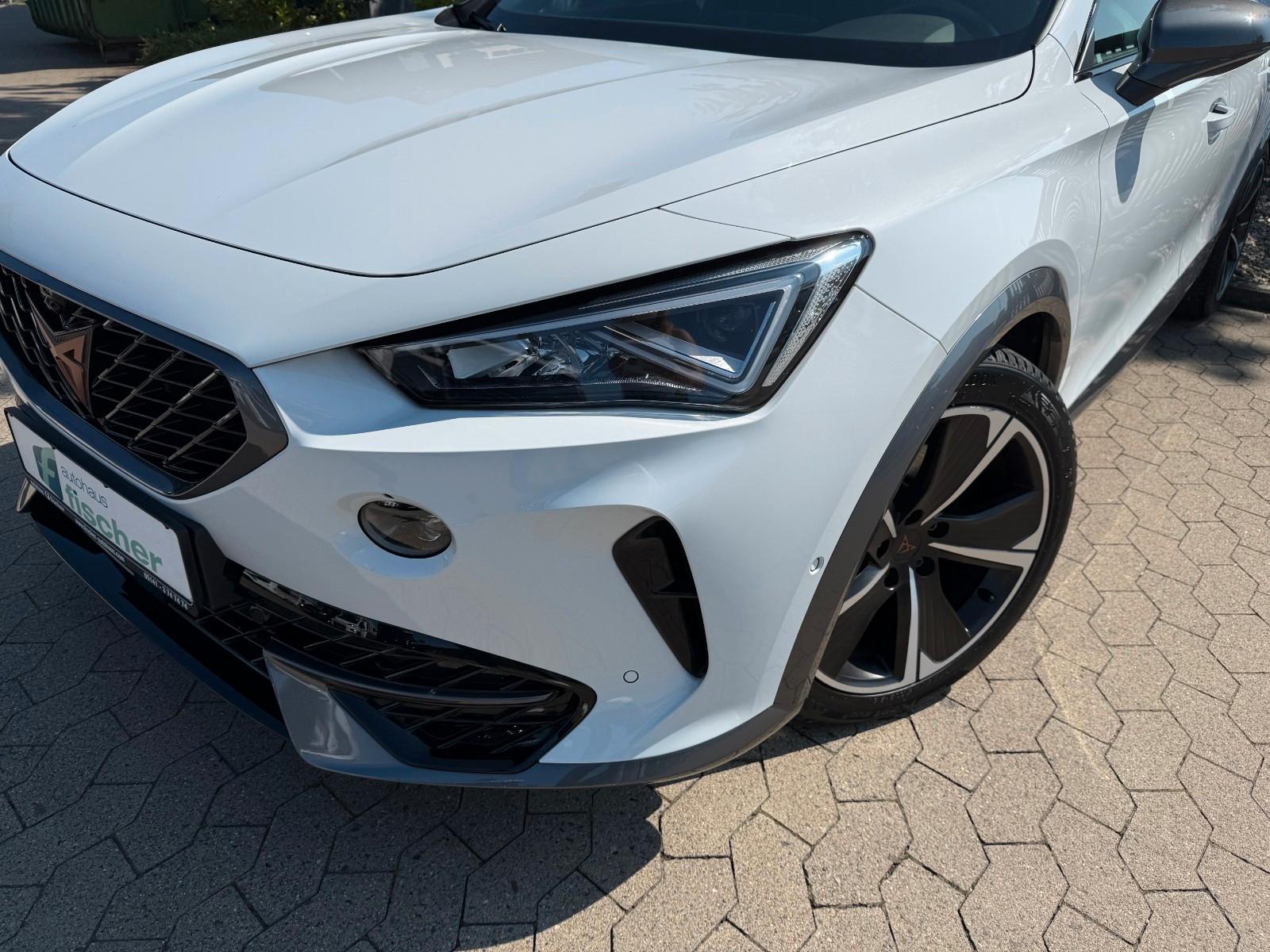 Cupra Formentor DSG Navi SHZ ACC 360° Tieferlegung