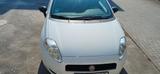Fiat Punto 1.2 8V LOUNGE LOUNGE - Fiat Punto in Ludwigshafen
