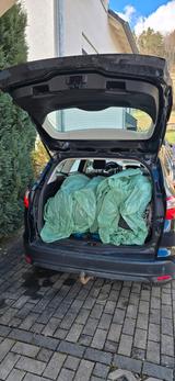 Ford Focus 1,6TDCi 85kW DPF Trend Turnier Trend - Ford Focus aus 2011: Turnier