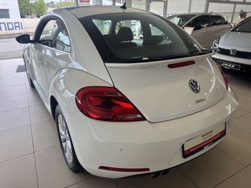 Volkswagen Beetle - 7