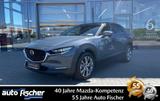 Mazda CX-30 2.5 (140PS) Schalter Exclsuive-Line 360* N - Mazda CX-30 Tageszulassungen