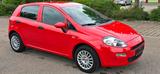 Fiat Punto MyStyle - gebrauchte Fiat Punto aus dem Jahr 2016