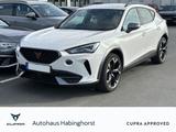 Cupra Formentor 4Drive 2.0 TSI DSG VZ ACC LED e.AHK Na - Cupra Formentor Gebrauchtwagen in Dortmund