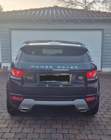 Land Rover Range Rover Evoque Dynamic 2.2 SD4 Automatik  - Land Rover: Sd4