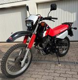Honda XL600rm - HONDA XL 600