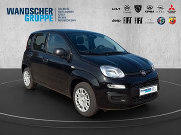 Fiat Panda ICON Hybrid 1.0 GSE *TEMPOMAT*PDC*KLIMA*