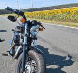 Harley-Davidson Sportster Forty-Eight - Jekyll&Hyde-Auspuff  - Angebote