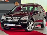 Mercedes-Benz ML 350CDI 4Matic Sportpaket Glasdach Airmatic 19 - Mercedes-Benz Ml