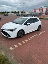 Toyota Corolla - Toyota Corolla: Toyot