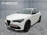 Alfa Romeo Stelvio TRIBUTO ITALIANO 2.0 Turbo 16V 280PS - Alfa Romeo Stelvio Tageszulassungen