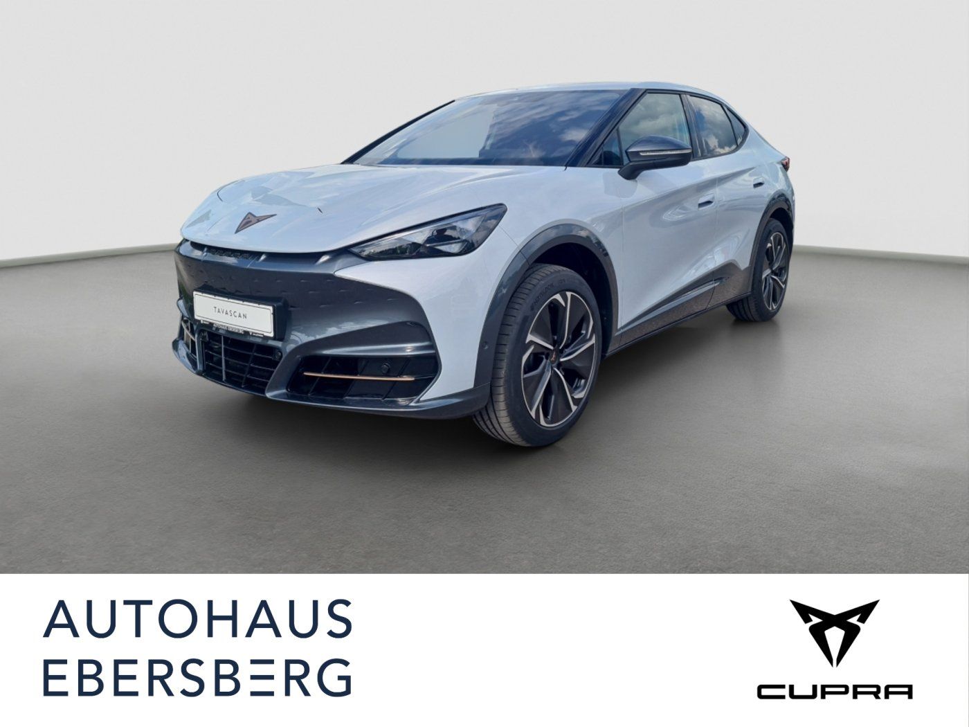 CUPRA Tavascan VZ 4Drive 250 KW 77 kWh Heatp., Below