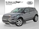 Land Rover Range Rover Evoque TD4 Pure Xenon PDC RFK - Land Rover Range Rover Evoque mit Diesel-Antrieb: Geländewagen, Td4 Pure
