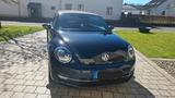 Volkswagen Beetle 1.2 TSI CUP Cabriolet CUP   TÜV NEU   - VW Beetle von privat