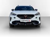 Cupra Formentor 2.0 TSI DSG 4Drive VZ COPPER MATRIX*HE - Cupra Formentor Tageszulassungen