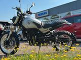 Benelli 500 Leoncino Trail , Sommer Aktion, A2 möglich - BENELLI MOTORRAD