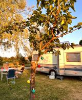 Fendt Saphir 470 Vorzelt, Bett Nähe Caravan Messe - Fendt Wohnwagen Caravan