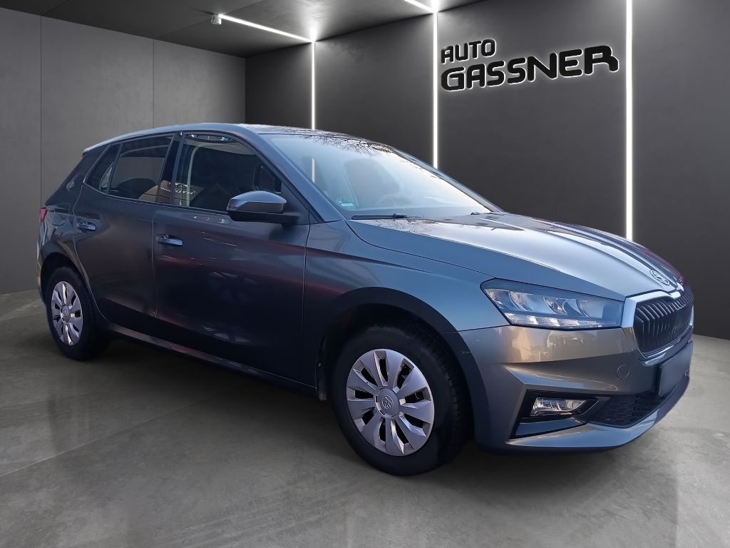 Fahrzeugabbildung SKODA FABIA 1.0 TSI Selection GRA PDC Sitzheiz.